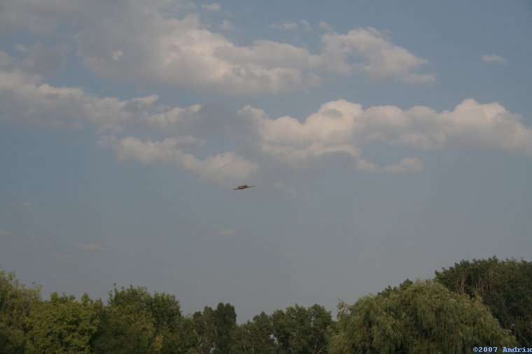img_1528.jpg