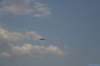 img_1529_small.jpg