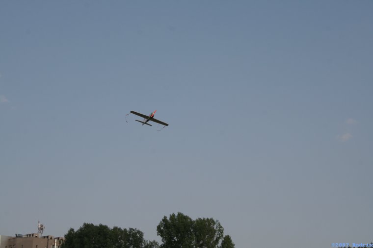 img_1559.jpg