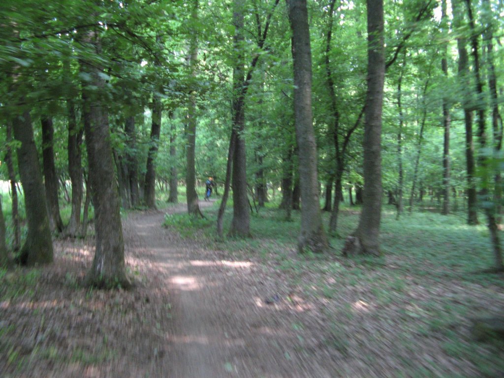 img_2580.jpg