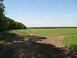 img_2520.jpg img_2520.jpg