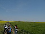 img_2533.jpg img_2533.jpg