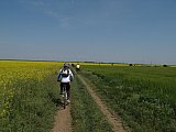 img_2534.jpg img_2534.jpg