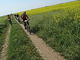 img_2593.jpg