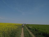 img_2537.jpg img_2537.jpg