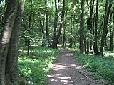 img_2577.jpg img_2577.jpg
