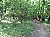 img_2578.jpg img_2578.jpg