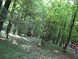 img_2579.jpg img_2579.jpg