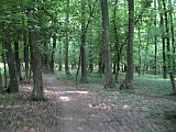 img_2580.jpg img_2580.jpg