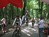 img_2594.jpg