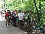img_2596.jpg