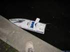 bluemarinegatadeactiune_small.jpg